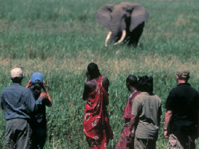 Kenya safari & Zanzibar beach holiday